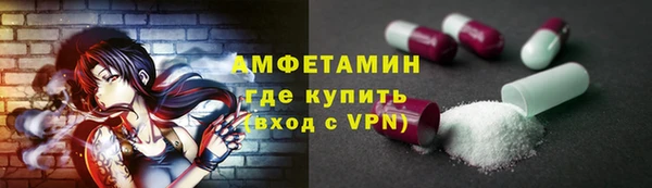 прущие грибы Карпинск
