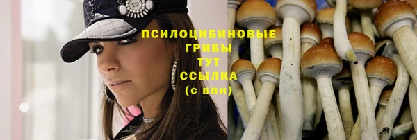 прущие грибы Карпинск