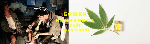 прущие грибы Карпинск