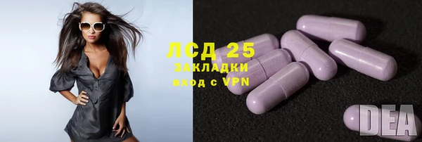 прущие грибы Карпинск