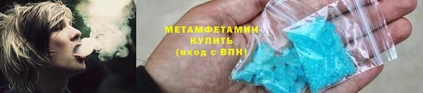 прущие грибы Карпинск