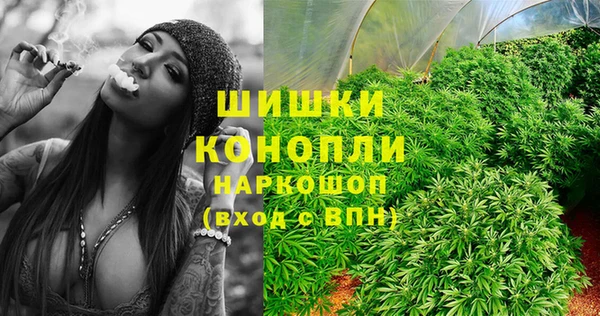 прущие грибы Карпинск
